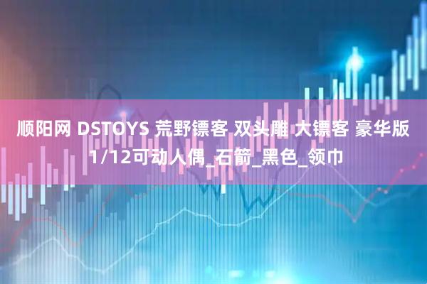 顺阳网 DSTOYS 荒野镖客 双头雕 大镖客 豪华版 1/12可动人偶_石箭_黑色_领巾
