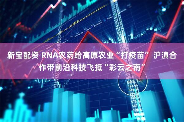 新宝配资 RNA农药给高原农业“打疫苗” 沪滇合作带前沿科技飞抵“彩云之南”