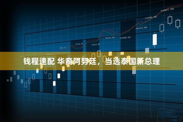 钱程速配 华裔阿努廷，当选泰国新总理