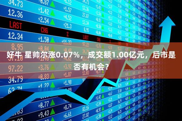 好牛 星帅尔涨0.07%，成交额1.00亿元，后市是否有机会？